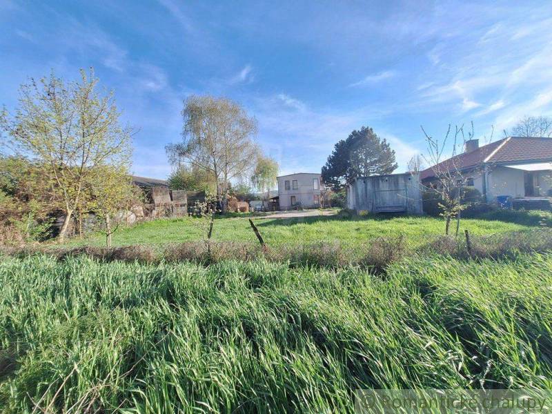 Spacious land surrounded by nature, ideal for living, available plots.