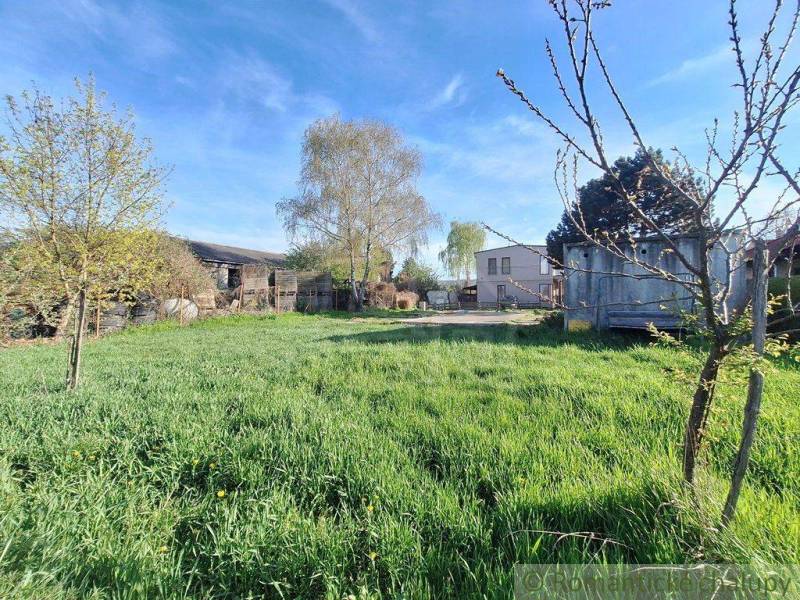 A large plot with a lawn, surrounded by trees, ideal for living and relaxation.