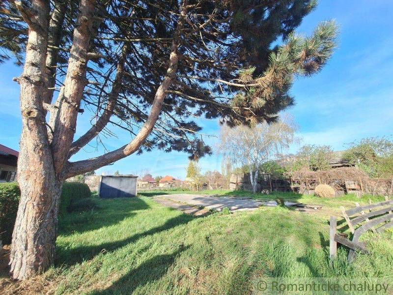 Beautiful plots with the possibility for living, a large tree, grass, and wooden structures in the background.