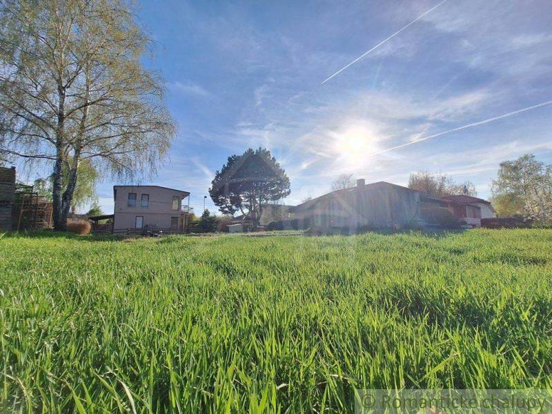 A sunny day, buildings and trees surround green plots suitable for living, relaxation.