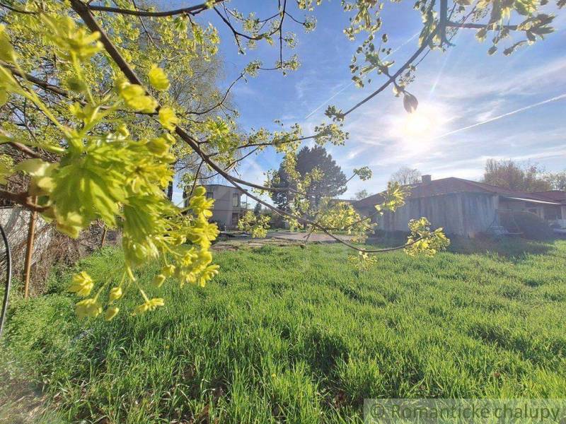 Wide green plots with trees, sky, and background for living and relaxation.