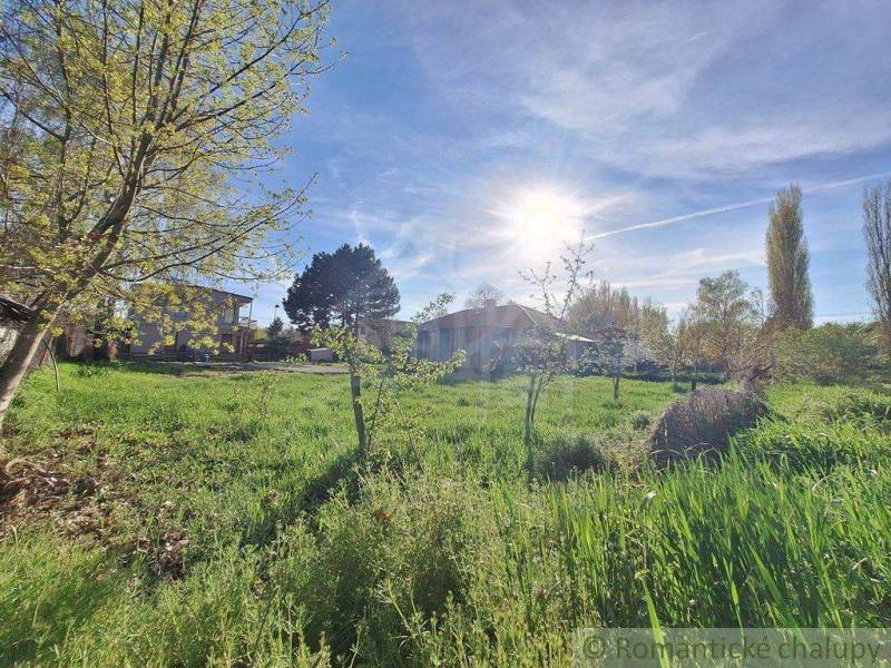A sunny plot with trees and grass surrounds the land suitable for living.