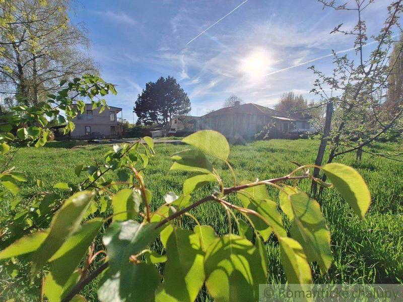 Beautiful countryside living with land, trees, and a clear sky.