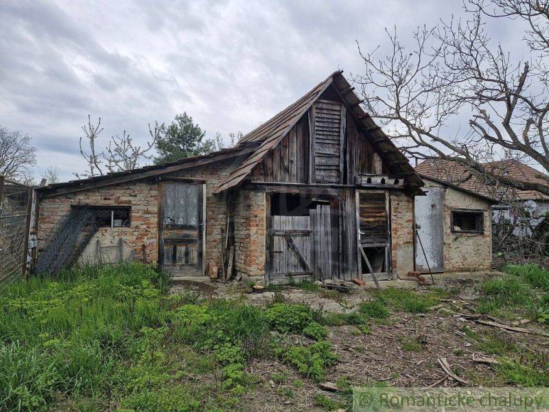 An old family house with a broken roof in the middle of nature and an unkempt garden.