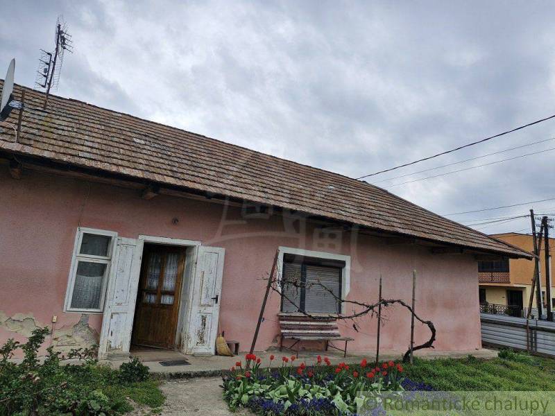 A family house with a wooden roof, shutters, flowers in the garden, and an antenna.