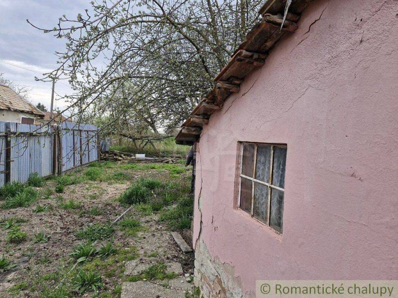 Garden, old shed, tree, bushes, fence, neglected area, family house.