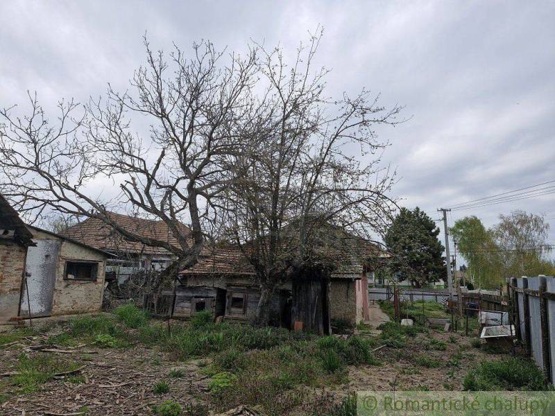 The picture shows an old family house surrounded by a neglected garden and trees.