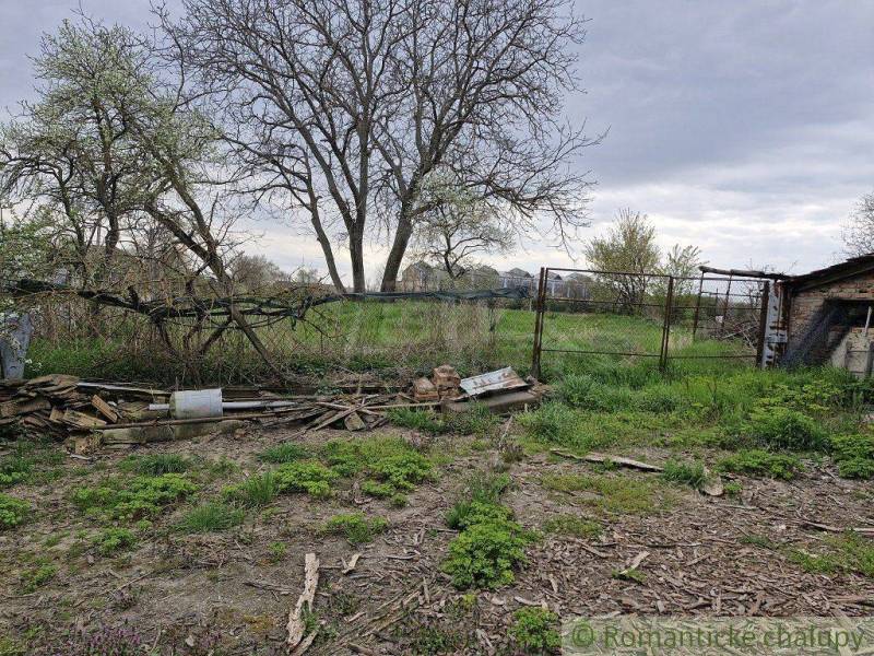 An obviously neglected garden, grass, trees, and in the background a family house with a fence.