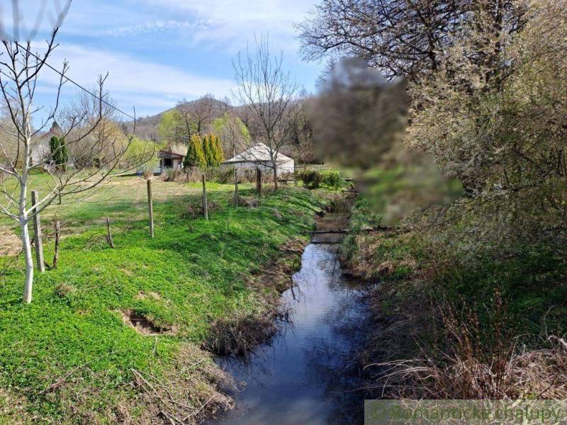 A cottage by the stream surrounded by greenery and trees on the edge of the forest.