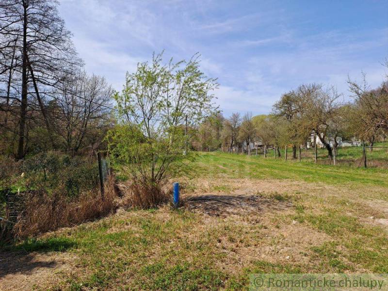 Beautiful landscape with a grassy meadow, trees, and a cottage in the background.