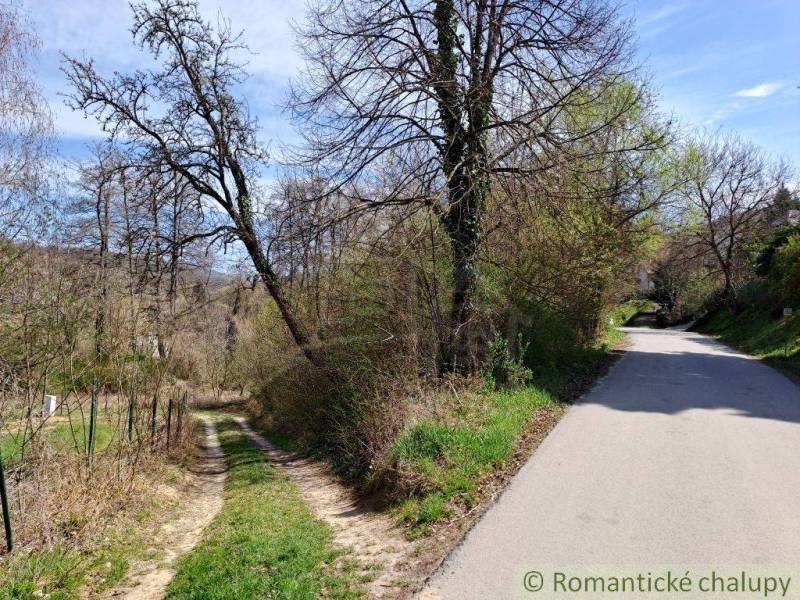 A rural asphalt road with nature and a cottage in the background, surrounded by trees.