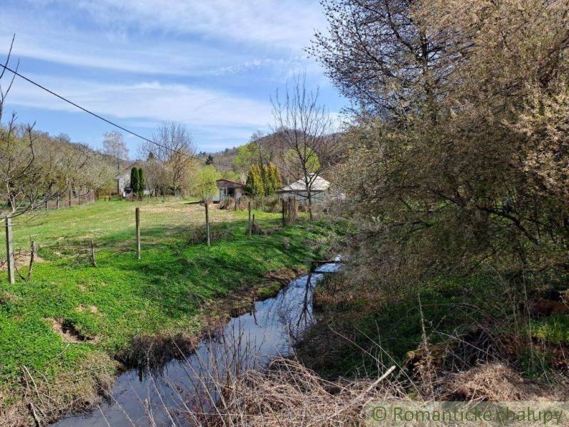 A peaceful countryside with a cottage by the stream and a rural environment surrounded by greenery.