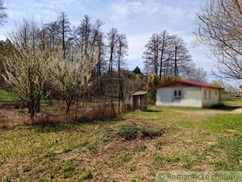 In the picture, there is a cottage surrounded by trees and nature in a peaceful rural setting.