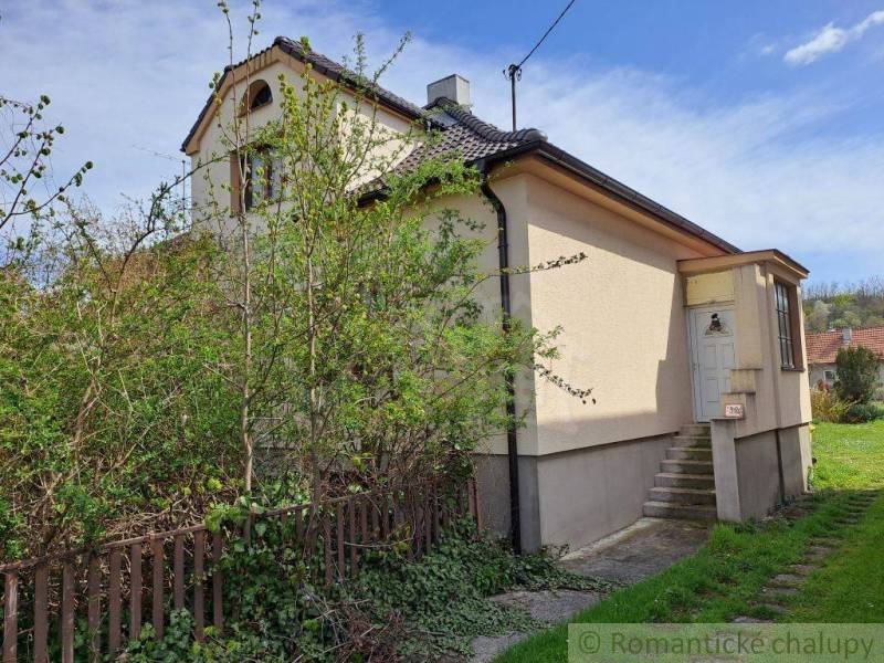 A family house with a vestibule, garden, and climbing greenery, wooden fence, white facade.