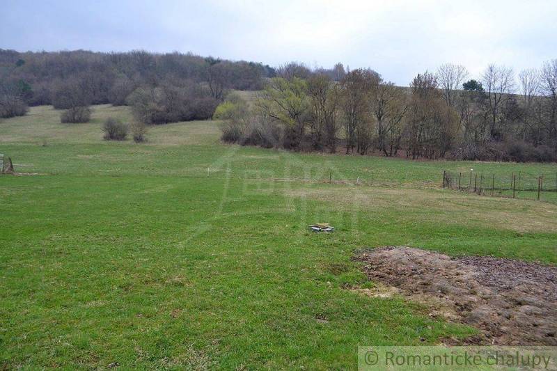 A vast green meadow surrounded by trees, ideal for a family house in the countryside.