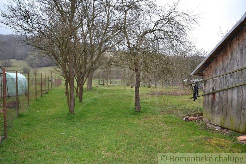 A garden with a wooden shed, fruit trees, and a lawn by a family house in the countryside.