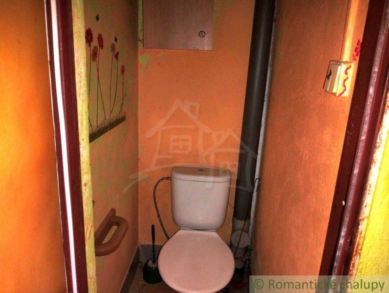A small bathroom in a family house with a toilet, orange walls, and floral decorations.