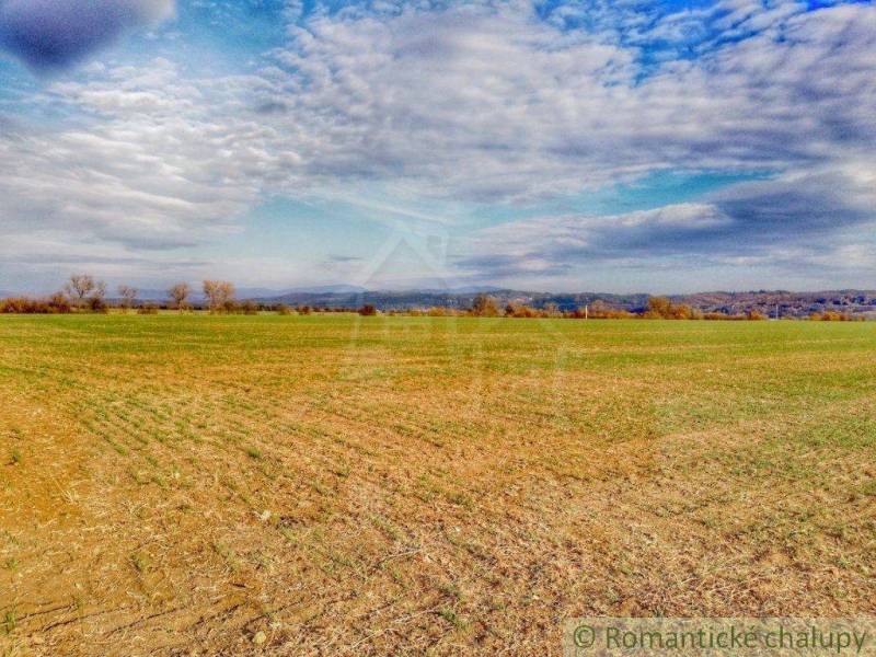 Vast fields under the blue sky, forests and gardens of nature on the horizon.