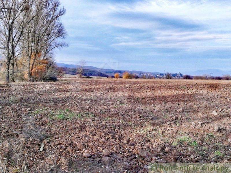 A field in the autumn season with hills in the background offers the tranquility of the countryside and gardens.