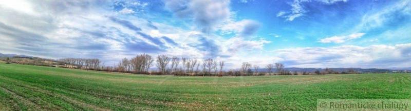 A vast meadow with low trees and a blue sky, suitable for recreation in the garden.