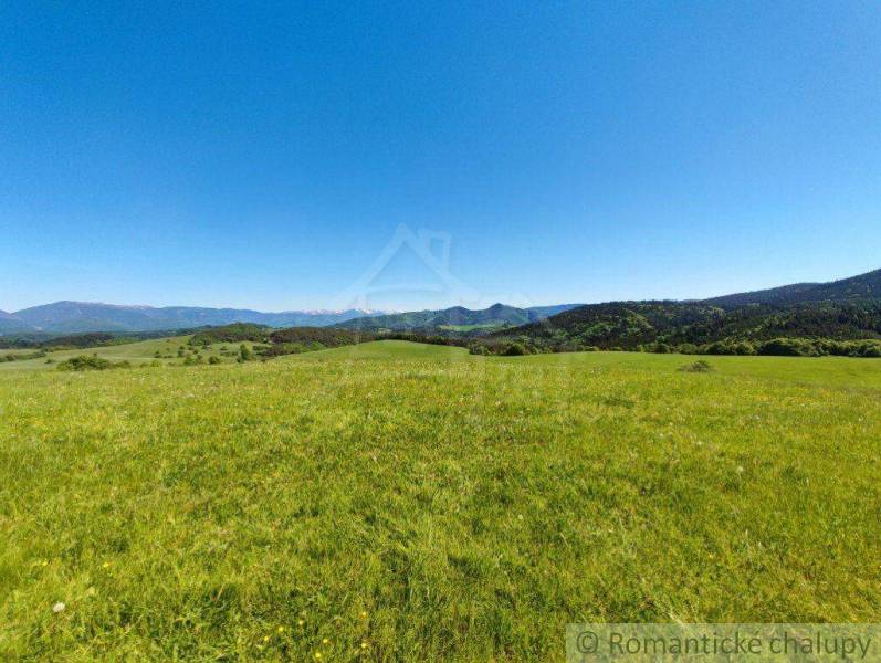 Green meadows and majestic mountains on the horizon under a blue sky, the natural gardens of the land.