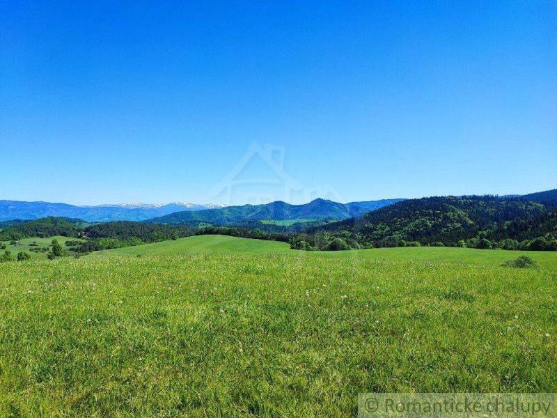 Green view of the mountains, blue sky, nature, and gardens attract with their beauty.