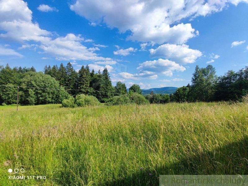 A vast meadow with a view of the forest and mountains, ideal for a family house.