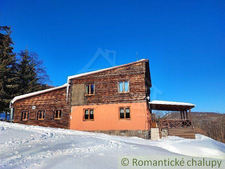 A snowy family house made of wood and brick with a porch, forest environment.