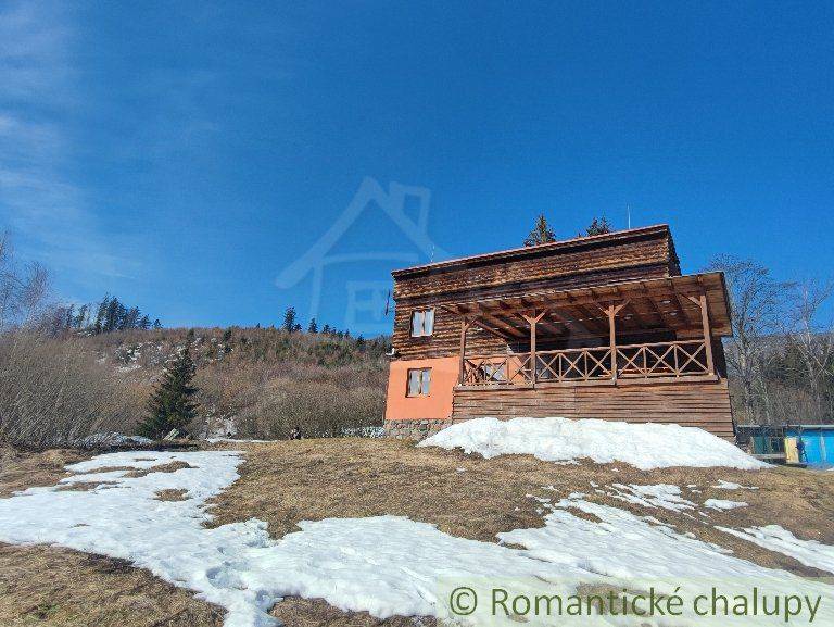 A wooden cottage and a family house by a snowy meadow, surrounded by nature, mountains in the distance.