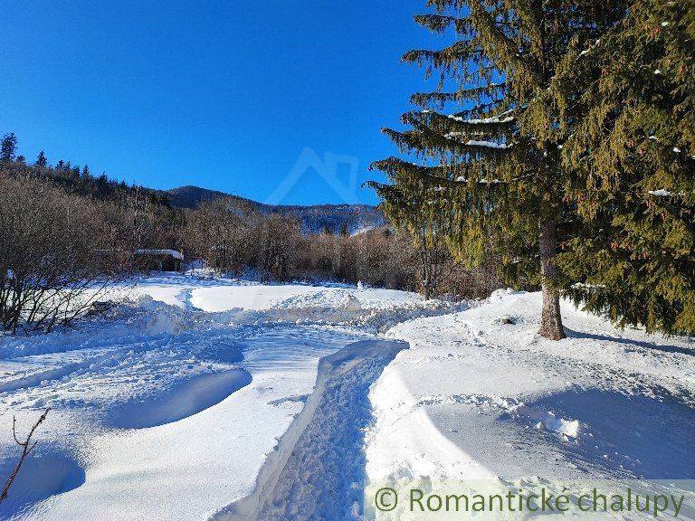 Snowy landscape, snowy path, dense forest, blue sky, nearby family house.