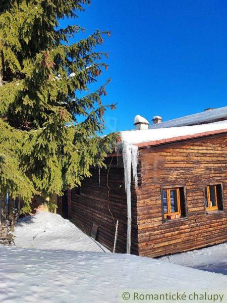 A wooden cottage with a glacier on the roof, a snowy landscape, and a family house in the background.