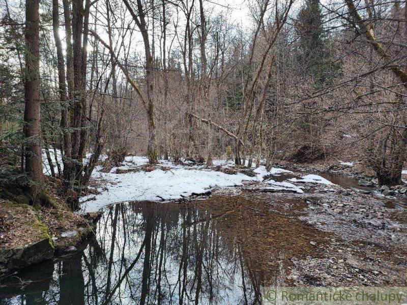 A river in the forest with snow on the bank, surrounded by trees. Romantic gardens in nature.