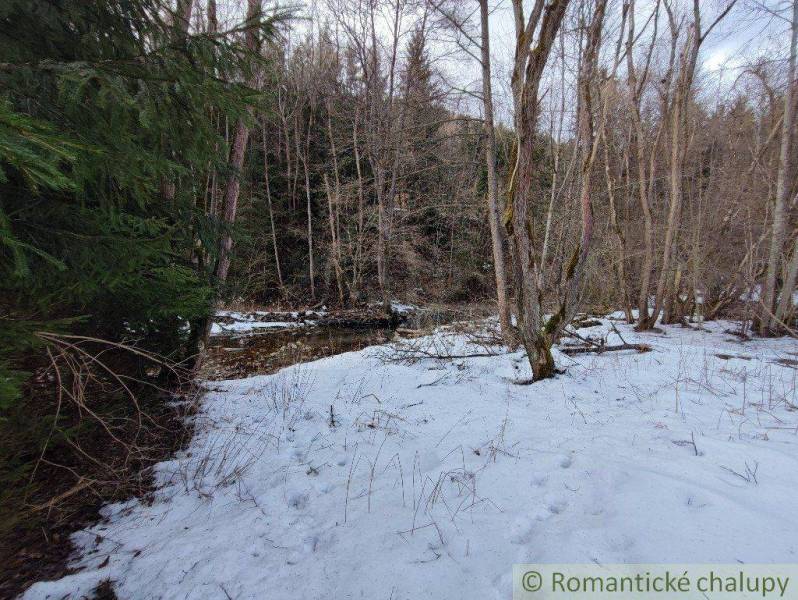 Snowy landscape near a forest and stream, suitable for nature and gardens.