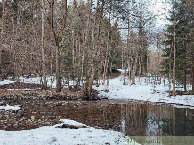 A snowy forest, a stream, paths, and gardens at the arrival of spring.
