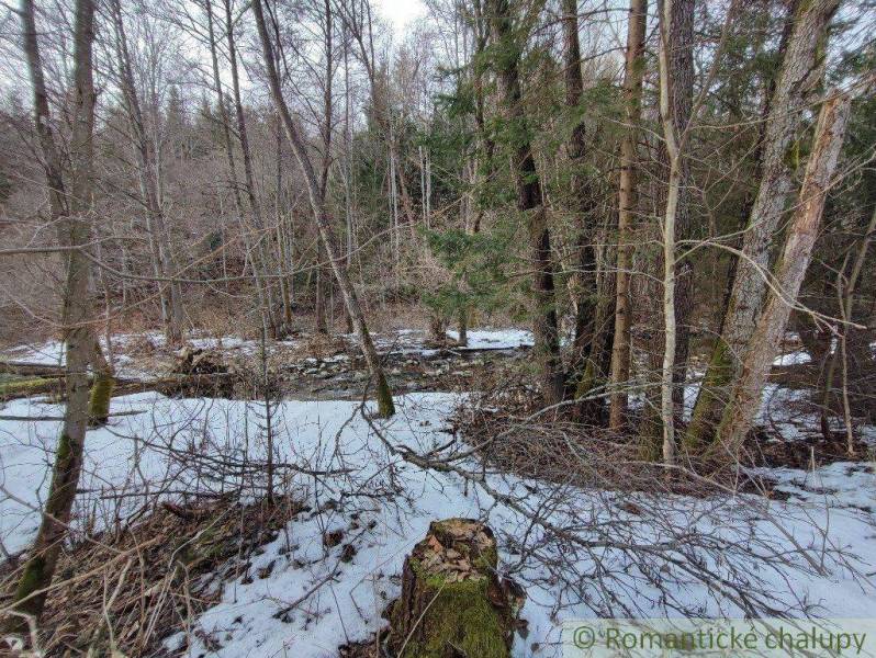 A snowy forest with a stream, surrounding gardens shrouded in winter silence.