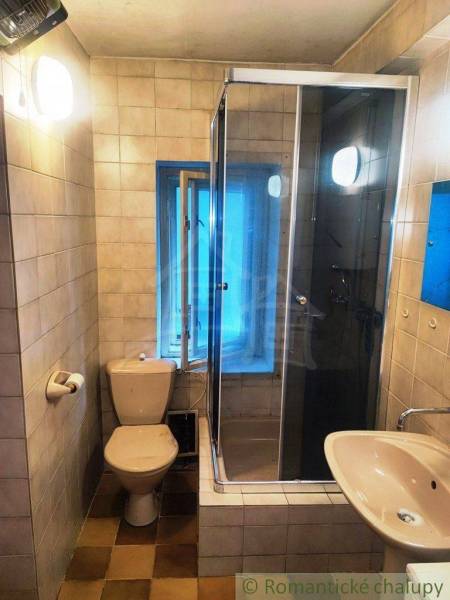 Small bathroom: shower, toilet, and sink, part of the interior of a family house.