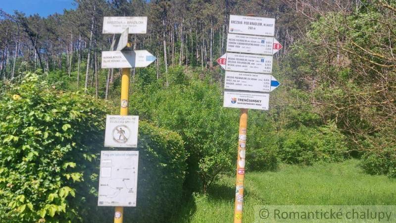 Tourist signposts in a pine forest nature area. Distant tourist destinations are marked.