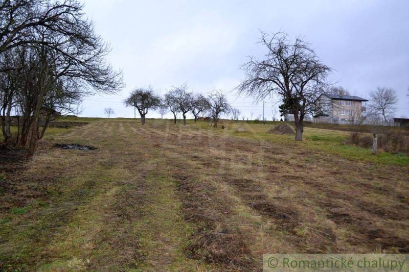 A vast field with fruit trees near a country house and garden.
