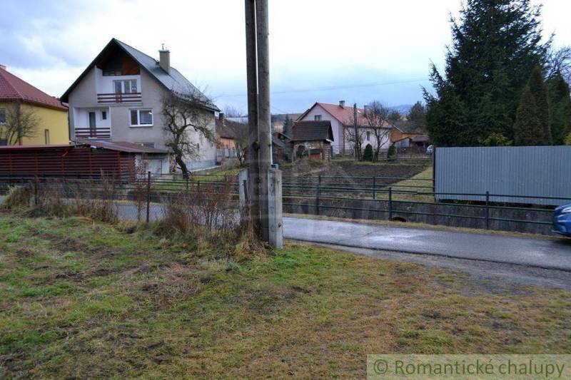 Houses by the road, trees, grass, and gardens on a quiet village street.