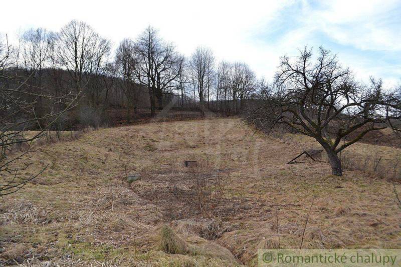 A view of a grassy plot with a fruit tree, surrounded by trees, suitable for a family house.