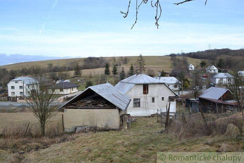 A rural panorama with a family house and a cottage surrounded by nature and scattered trees.