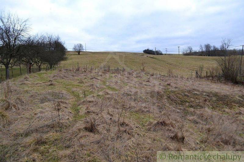 Winter landscape: Agricultural lands, trees, grass, winter, forest lands, power lines.