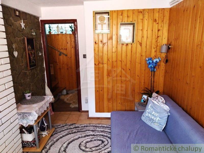 Interior of a family house with wooden walls, a sofa, decorative plants, and a carpet.