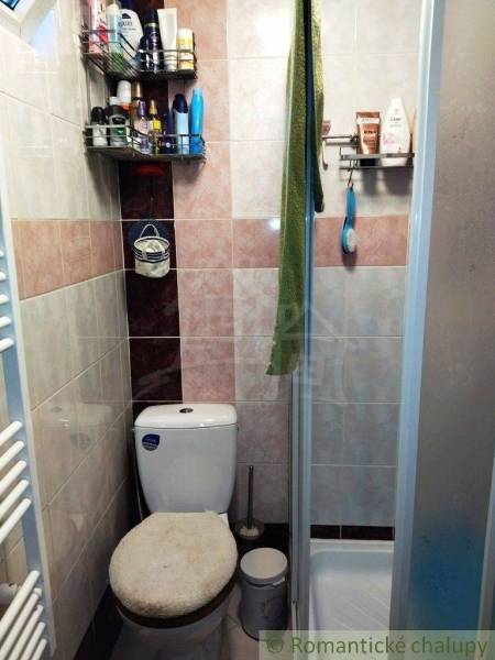 Small bathroom with a shower and toilet in a family house, including shelves for cosmetics.
