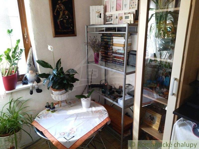 In the corner of the room, there are books on a shelf, flowers, and a family house decor.