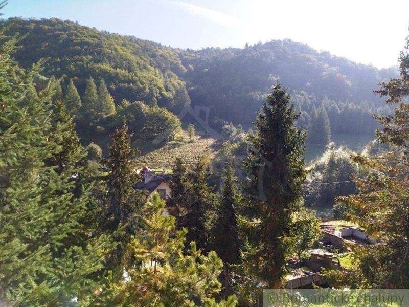 A wooded landscape and a family house surrounded by trees in a sunny environment.