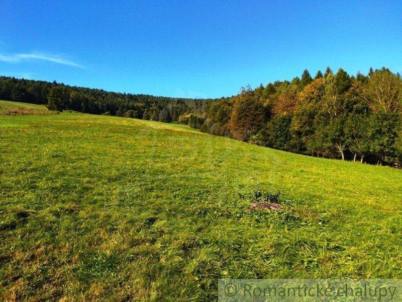 A green meadow surrounded by forest, ideal for building a family house or relaxing in nature.