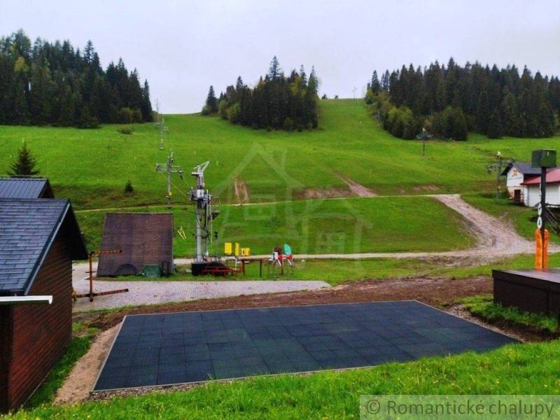 A cottage next to the ski slope, green nature, grassy gardens, a forest on the hill, a rope lift.