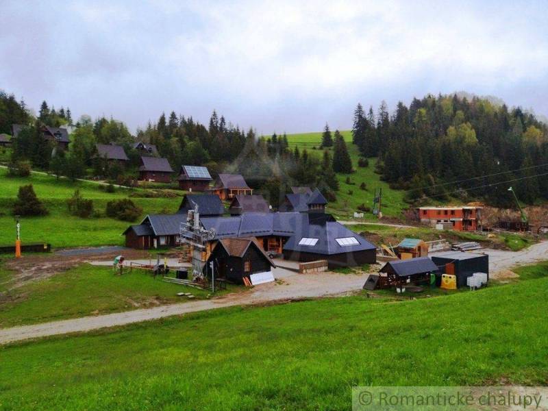Cottages on a slope with greenery, forests, and a garden in a mountain village.
