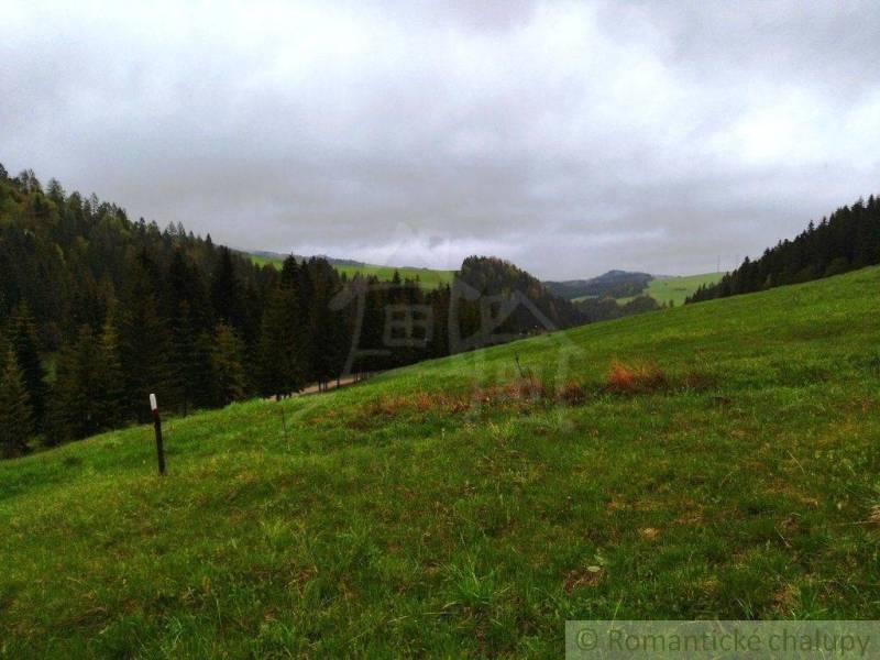 Green meadows with trees in the background; a beautiful natural setting suitable for gardens.